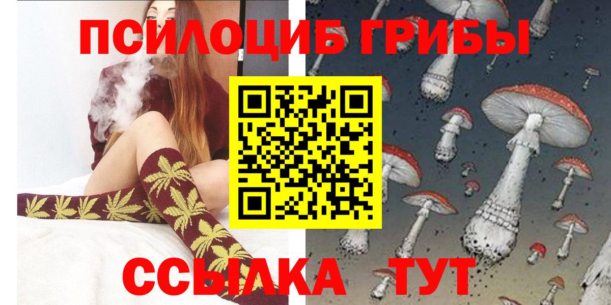 Балтийск  Галлюциногенные грибы Cubensis  Вход с VPN 